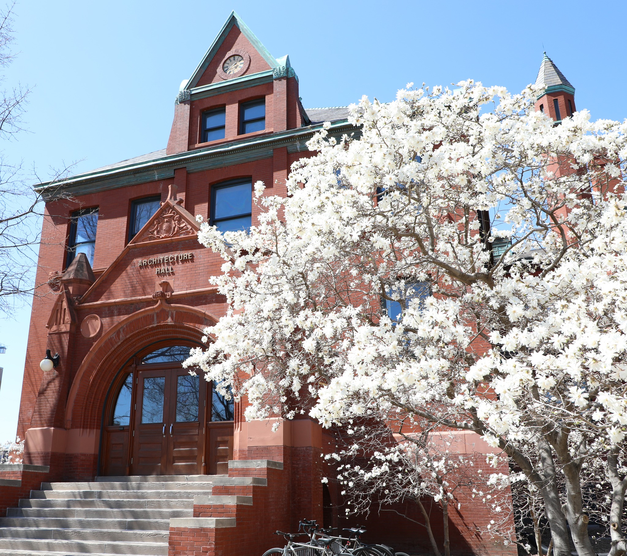 white cherry blossoms in front of the architecture building