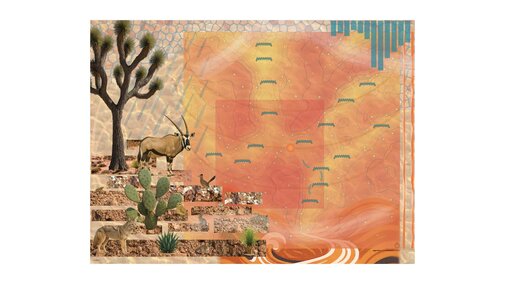 Collage of desert wildlife, cacti, trees, and abstract patterns in warm orange tones.