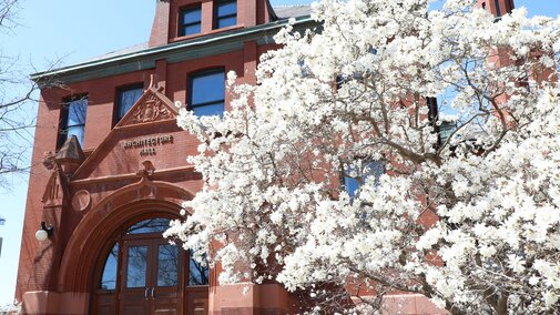 white cherry blossoms in front of the architecture building