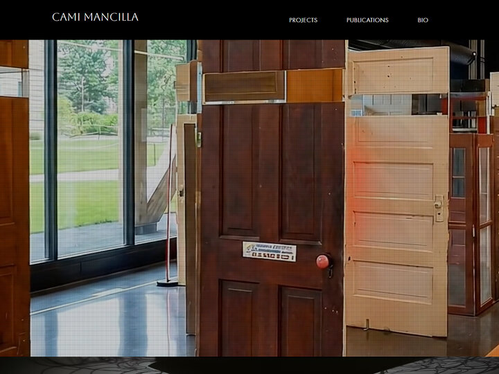 Faculty Work Website