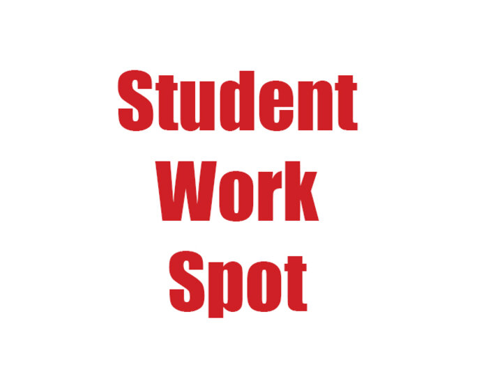 Student Work Template 