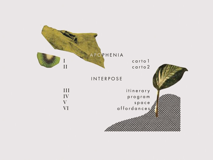 MINGLING DISPOSITIONS