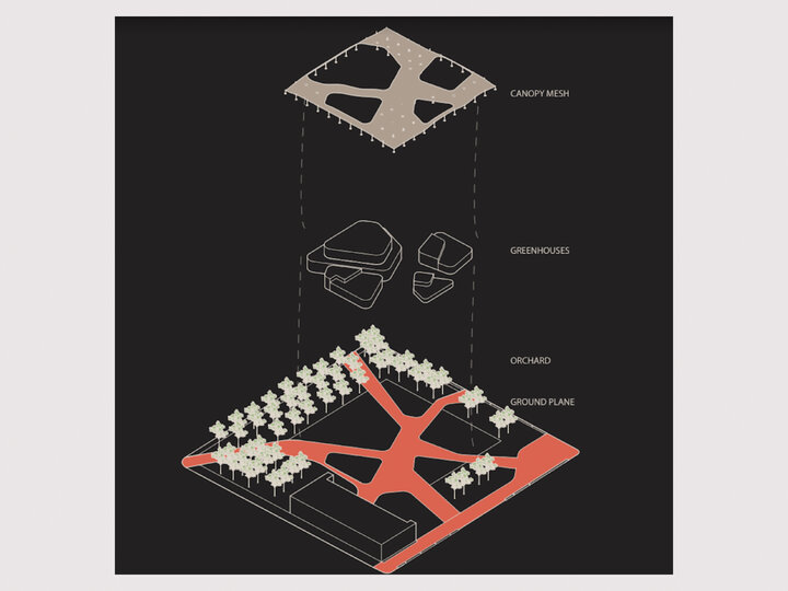 MINGLING DISPOSITIONS