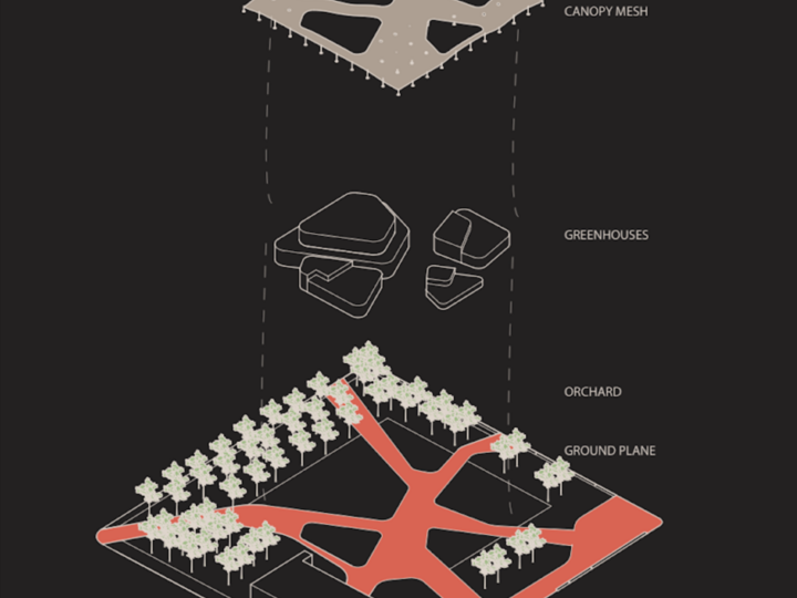 MINGLING DISPOSITIONS