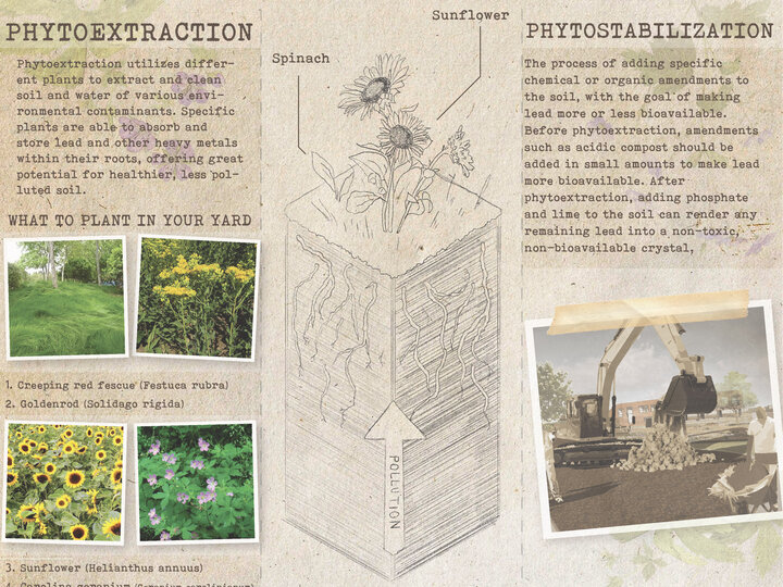 PHYTO