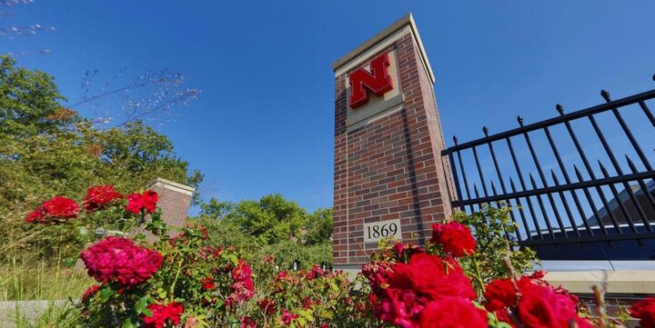 a unl pillar with roses underneath